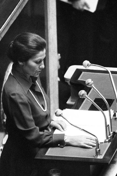 Simone Veil, une loi au nom des femmes (2010) poster