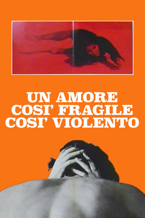 Un amore così fragile, così violento (1973) poster