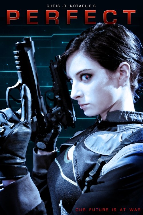 Perfect (2013) poster