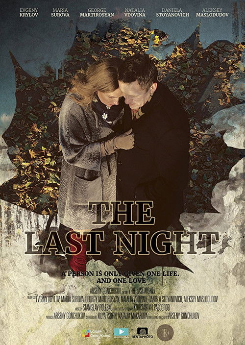 The Last Night (2015) poster
