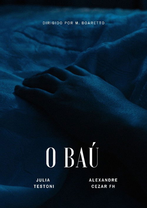 O Baú (2025) poster