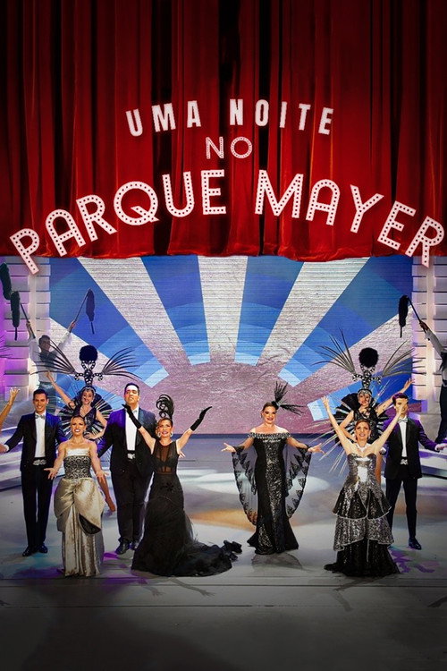 Uma Noite no Parque Mayer (2022) poster