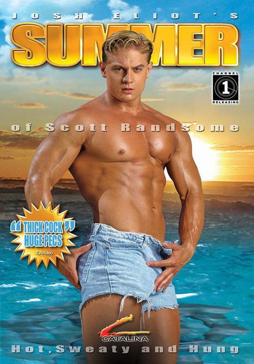 Summer of Scott Randsome (1994) poster