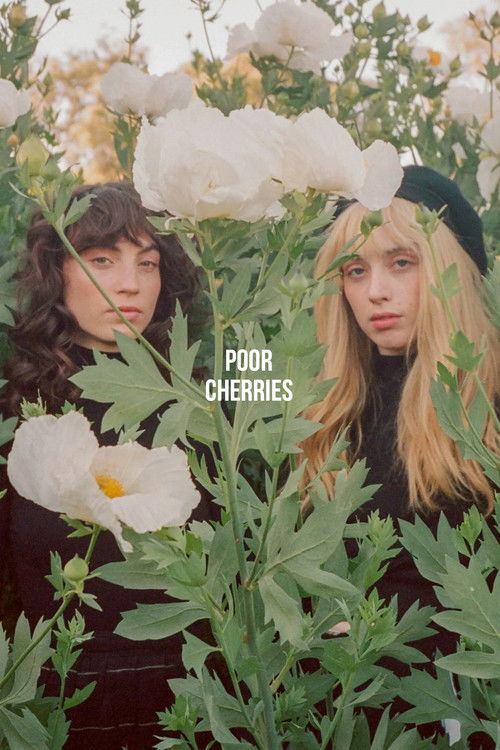 Poor Cherries (2018) poster