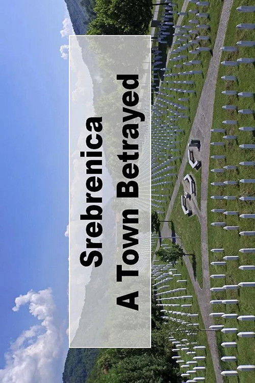 A Town Betrayed (2011) poster