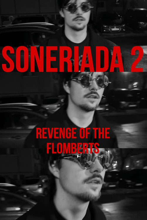 Soneriada 2: Revenge of the Flomberts (2025) poster