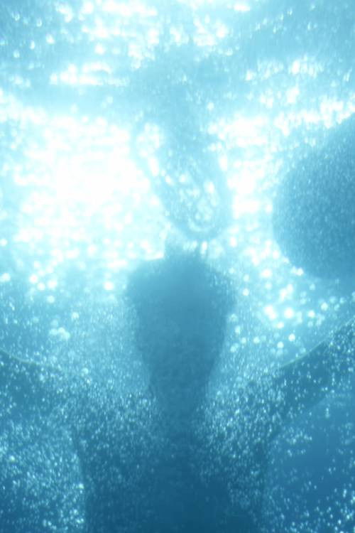 Les Rêves du Plongeur (2016) poster