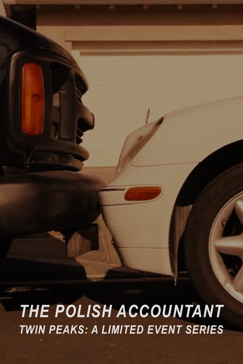 The Polish Accountant (2017) poster