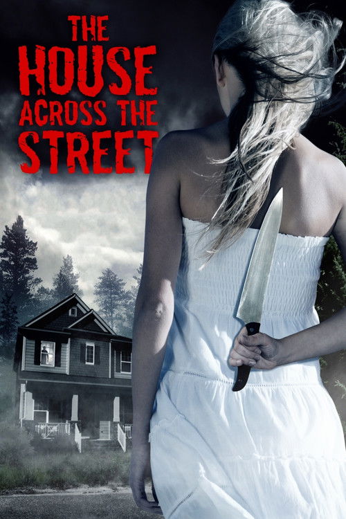The House Across the Street (2013) poster