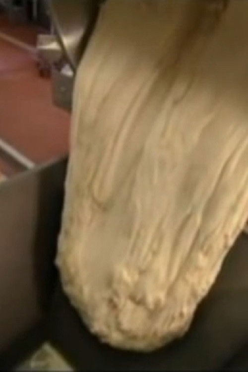 Axes in Bread-loafs (2009) poster