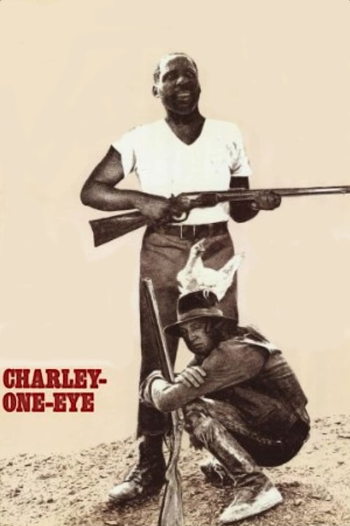 Charley One-Eye (1973) poster