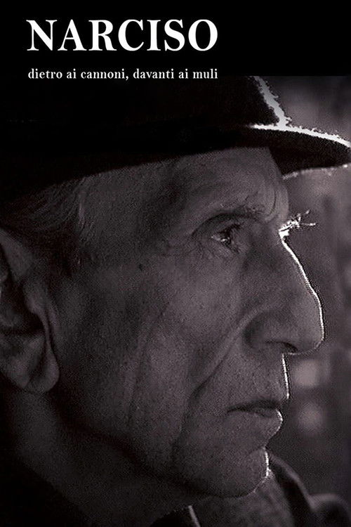 Narciso - Dietro ai cannoni, davanti ai muli (2008) poster