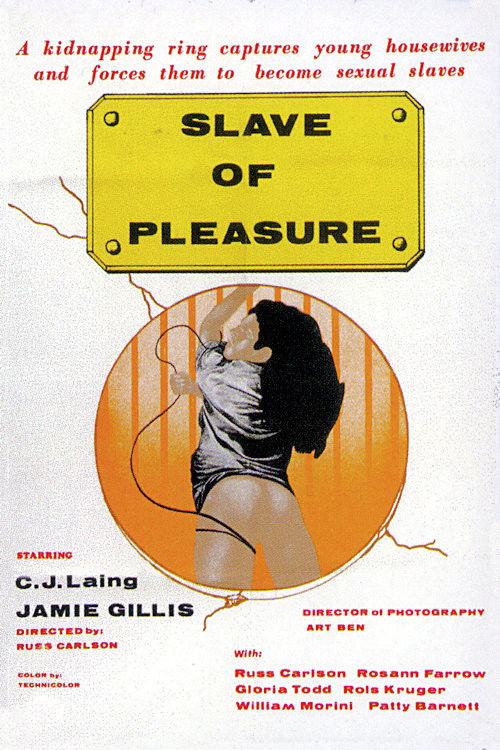 Slave of Pleasure (1978) poster