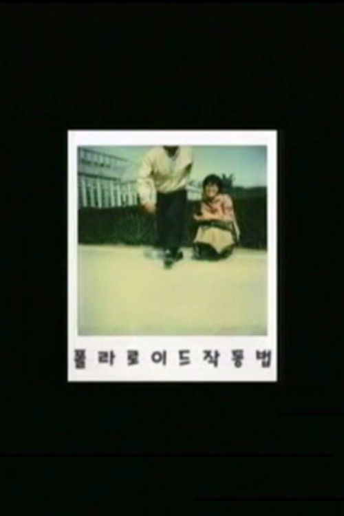 How to Operate a Polaroid Camera (2004) poster