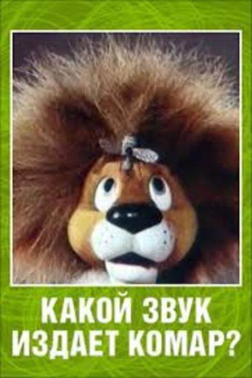 What Sound Does a Mosquito Make? (1989) poster