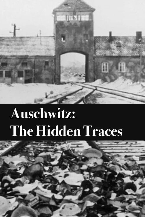 Auschwitz: The Hidden Traces (2022) poster