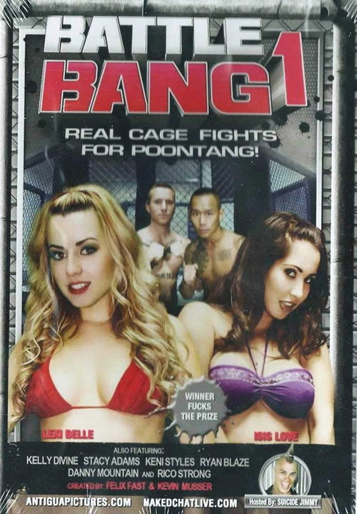 Battle Bang (2011) poster