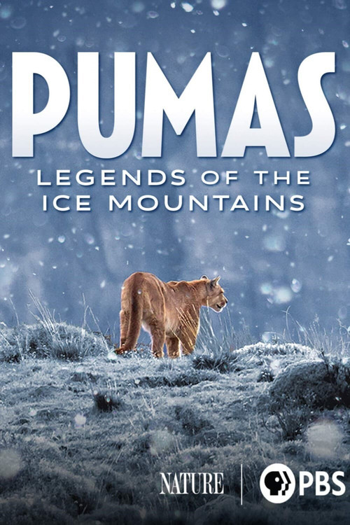 Pumas: Legends of the Ice Mountains (2021) poster