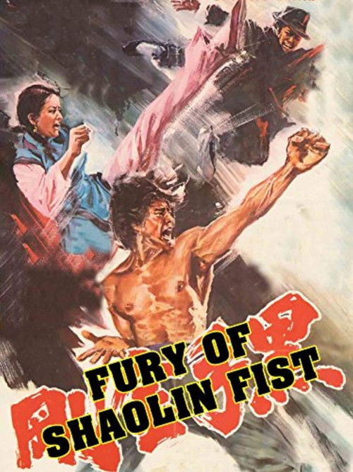 Fury of Shaolin Fist (1978) poster