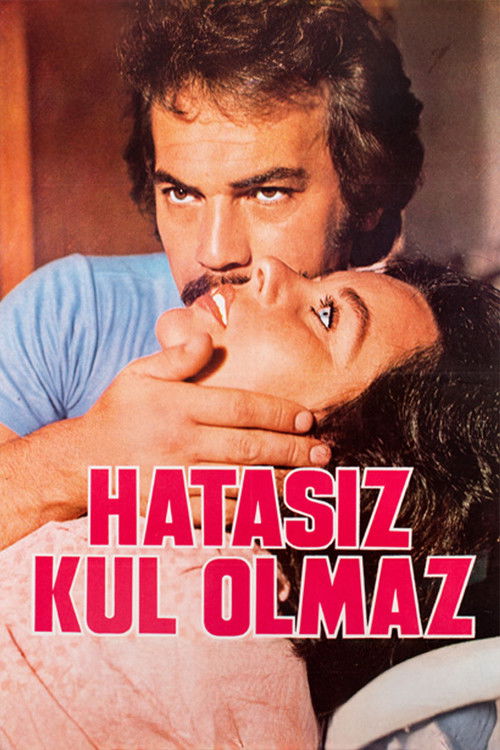 Hatasız Kul Olmaz (1977) poster