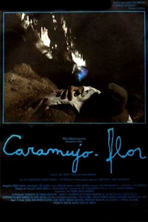 Caramujo-Flor (1988) poster