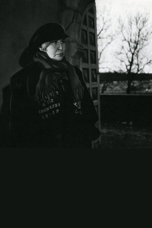 Aken aja liikumisse. Viivi Luik (1991) poster