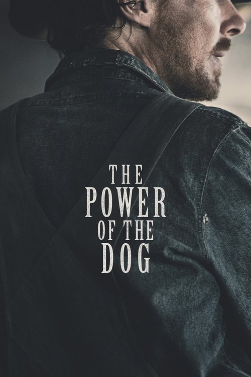 The Power of the Dog (2021) poster