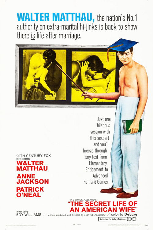 The Secret Life of an American Wife (1968) poster