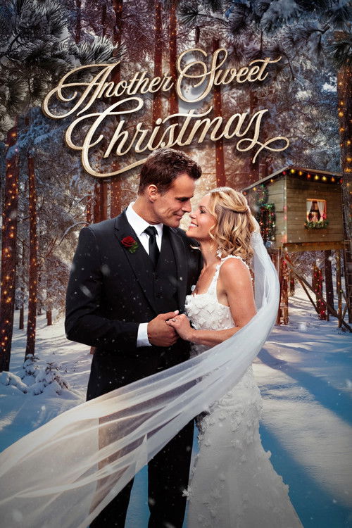 Another Sweet Christmas (2025) poster