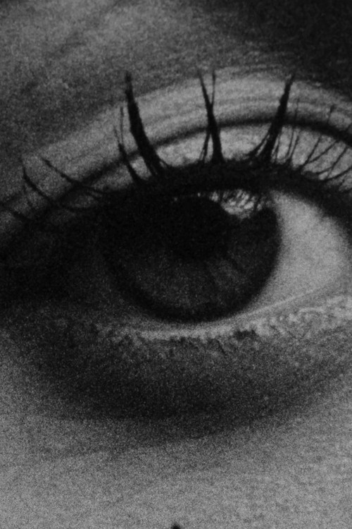 The Root of Lightweight (2018) poster