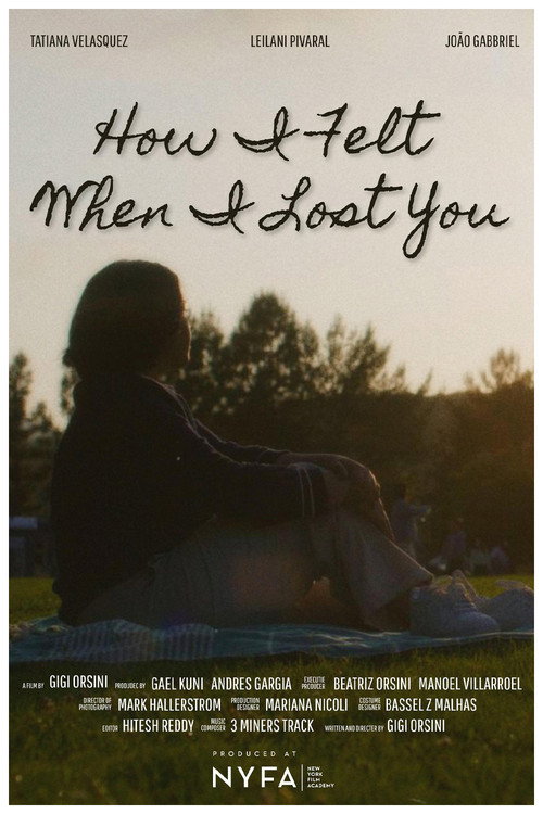 How I Felt When I Lost You (2026) poster