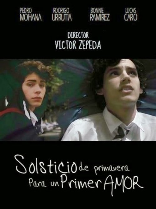 Spring Solstice for a First Love (2013) poster