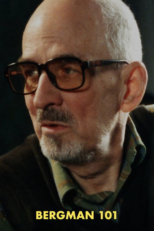 Bergman 101 (2009) poster