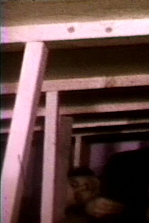 Seedbed (1972) poster