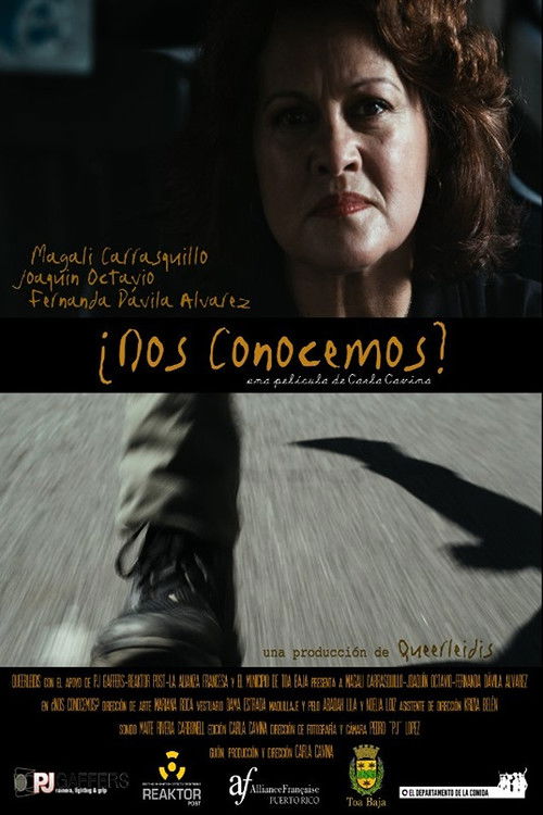 ¿Nos conocemos? (2014) poster