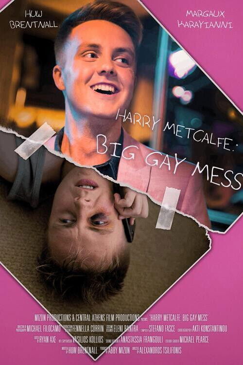 Harry Metcalfe: Big Gay Mess (2019) poster