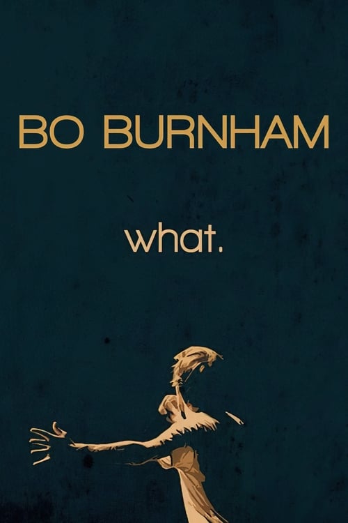Bo Burnham: What. (2013) poster