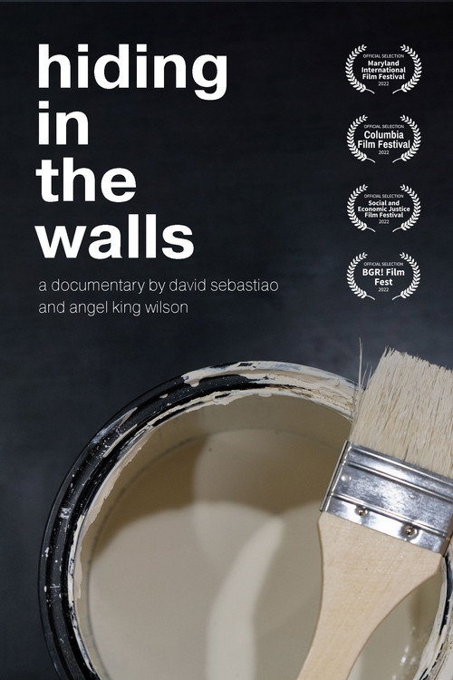 Hiding in the Walls (2022) poster