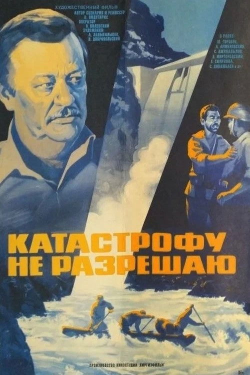 Катастрофу не разрешаю (1985) poster