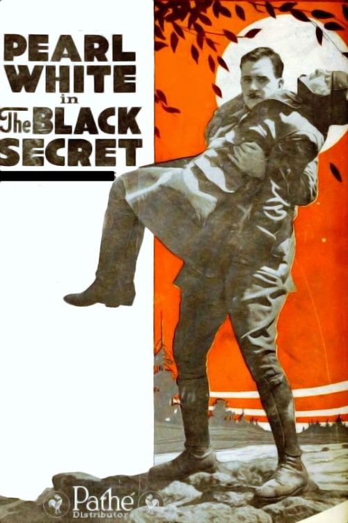 The Black Secret (1919) poster