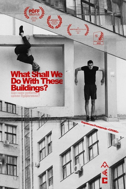 What Shall We Do With These Buildings? (2022) poster