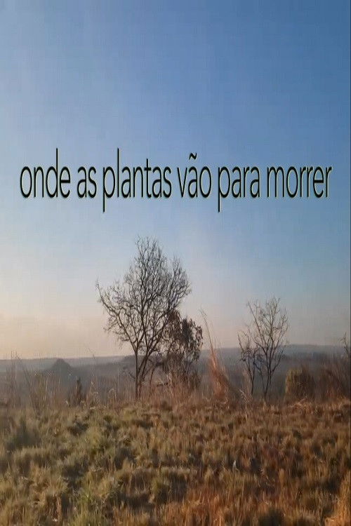 Onde As Plantas Vão Para Morrer (2021) poster