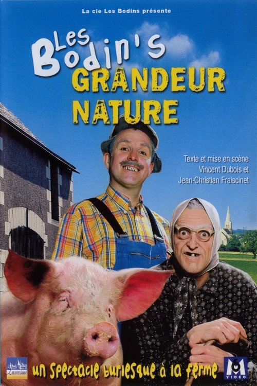 Les Bodin's - Grandeur Nature (2006) poster