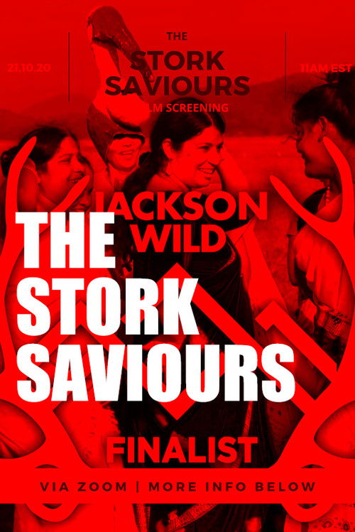 The Stork Saviours (2019) poster