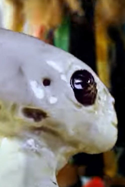 Aliens in Poland (2024) poster