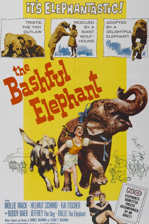 The Bashful Elephant (1962) poster