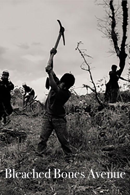 Bleached Bones Avenue (2020) poster