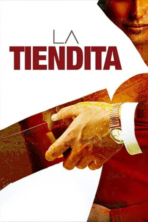 La tiendita (2007) poster