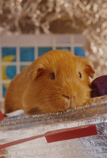 Sherbert Rozencrantz, You're Beautiful (2018) poster