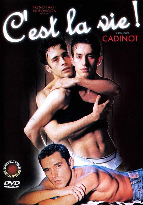 C'est la vie (2000) poster